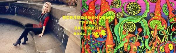 герыч Алексин