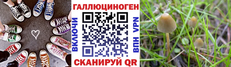 где купить наркотик  Уссурийск  МЕГА маркетплейс  Псилоцибиновые грибы Psilocybe 