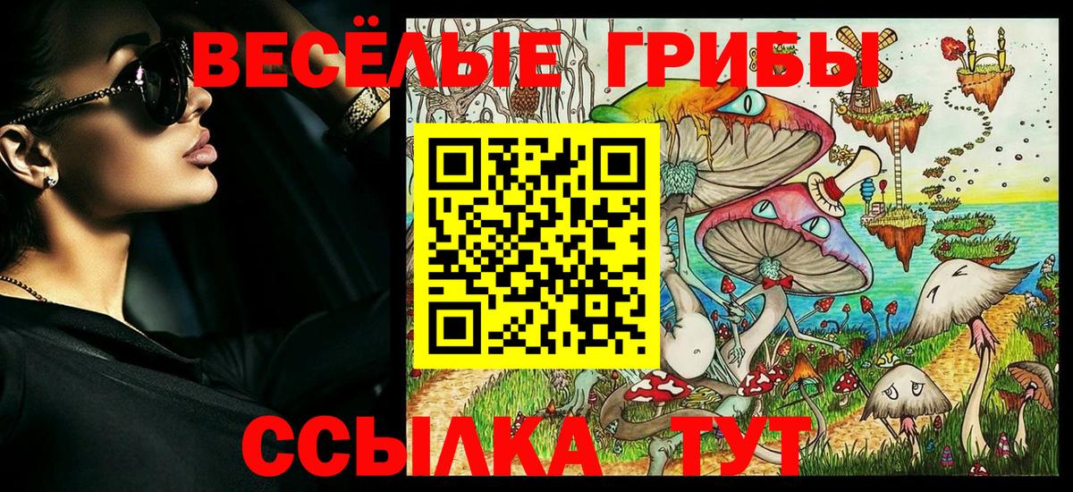 Уссурийск  где можно купить наркотик  Вход с VPN  Псилоцибиновые грибы ЛСД 